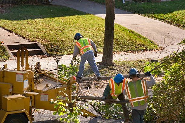Best Aeration Services  in Wmette, IL